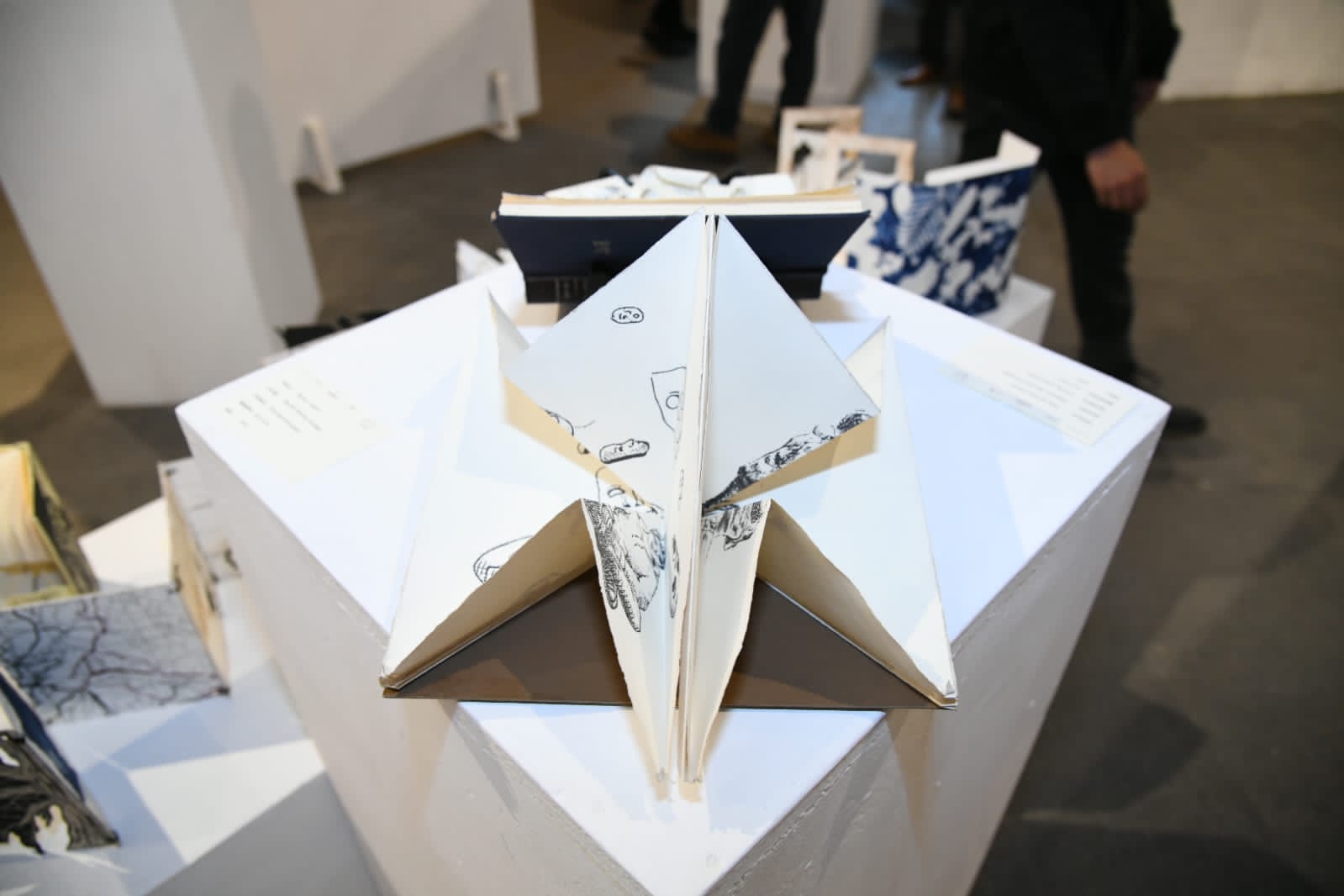 Invita SC a participar en Premios Estatales de Artes Visuales 2024